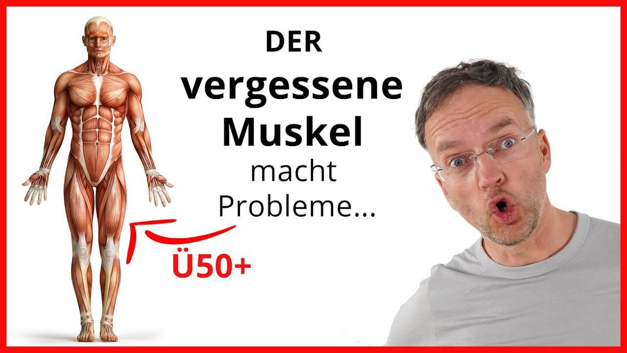 muskel probleme tibialis anterior